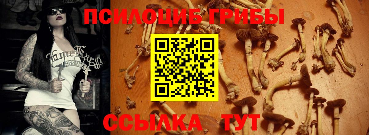Псилоцибиновые грибы GOLDEN TEACHER Октябрьский
